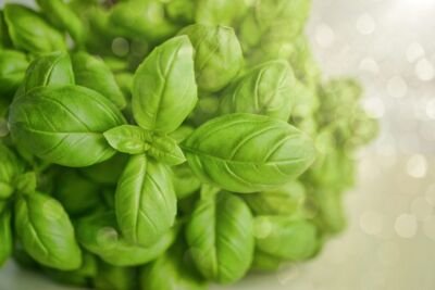 ALBAHACA (250g)