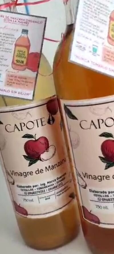 VINAGRE DE MANZANA