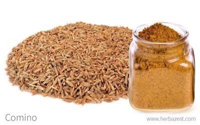 COMINO MOLIDO (250g)