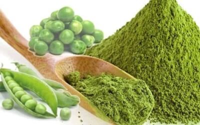 POLVO DE ARVEJA (500g)