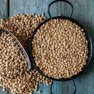 LENTEJA (500g)