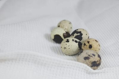 Speckled quail eggs lying on textured white fabric, perfect for culinary and still life themes.