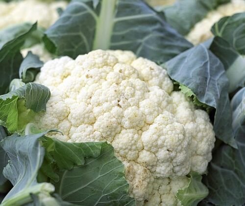 cauliflower, vegetables, food, vitamins, market fresh vegetables, vegan, cauliflower, cauliflower, cauliflower, cauliflower, cauliflower