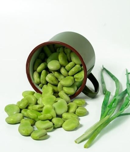 beans, vegetables, nature